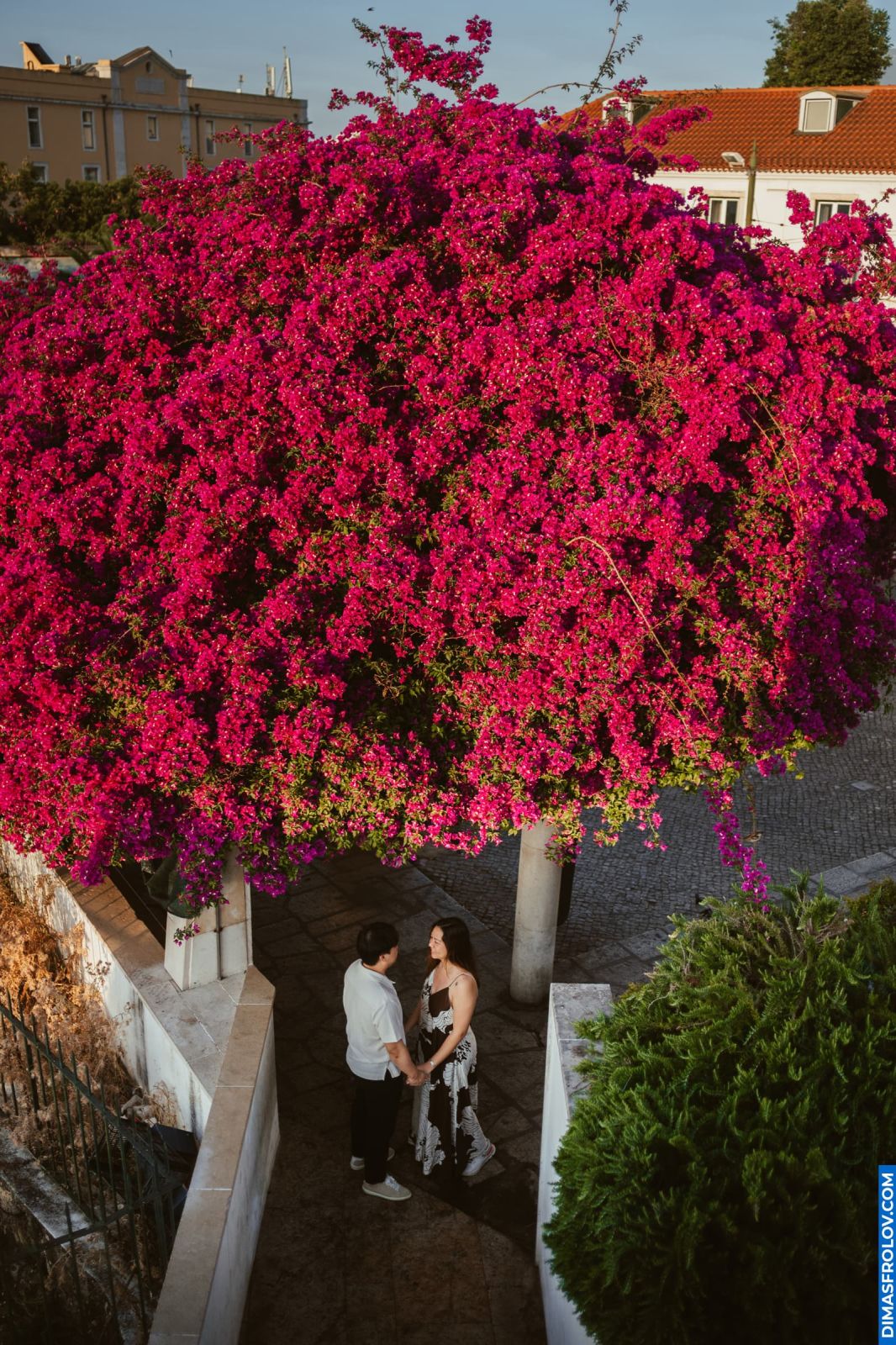 Surprise Proposal in Alfama. Photo 129512 (2025-06-28 08:21:29)