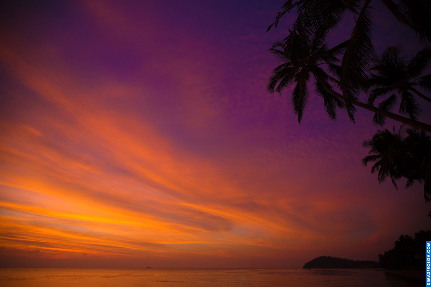 Dramatic sunset with vibrant orange and purple clouds silhouetting palm trees against the colorful sky