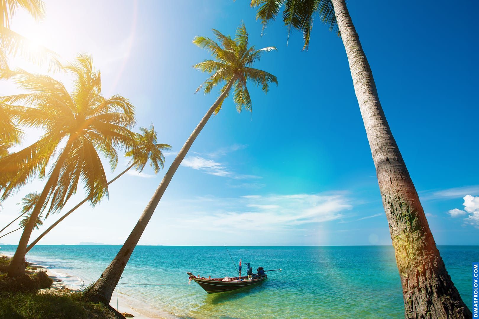 Tropical beach scene with leaning palm trees silhouetted against a bright sun, and a small boat on the clear turquoise water
