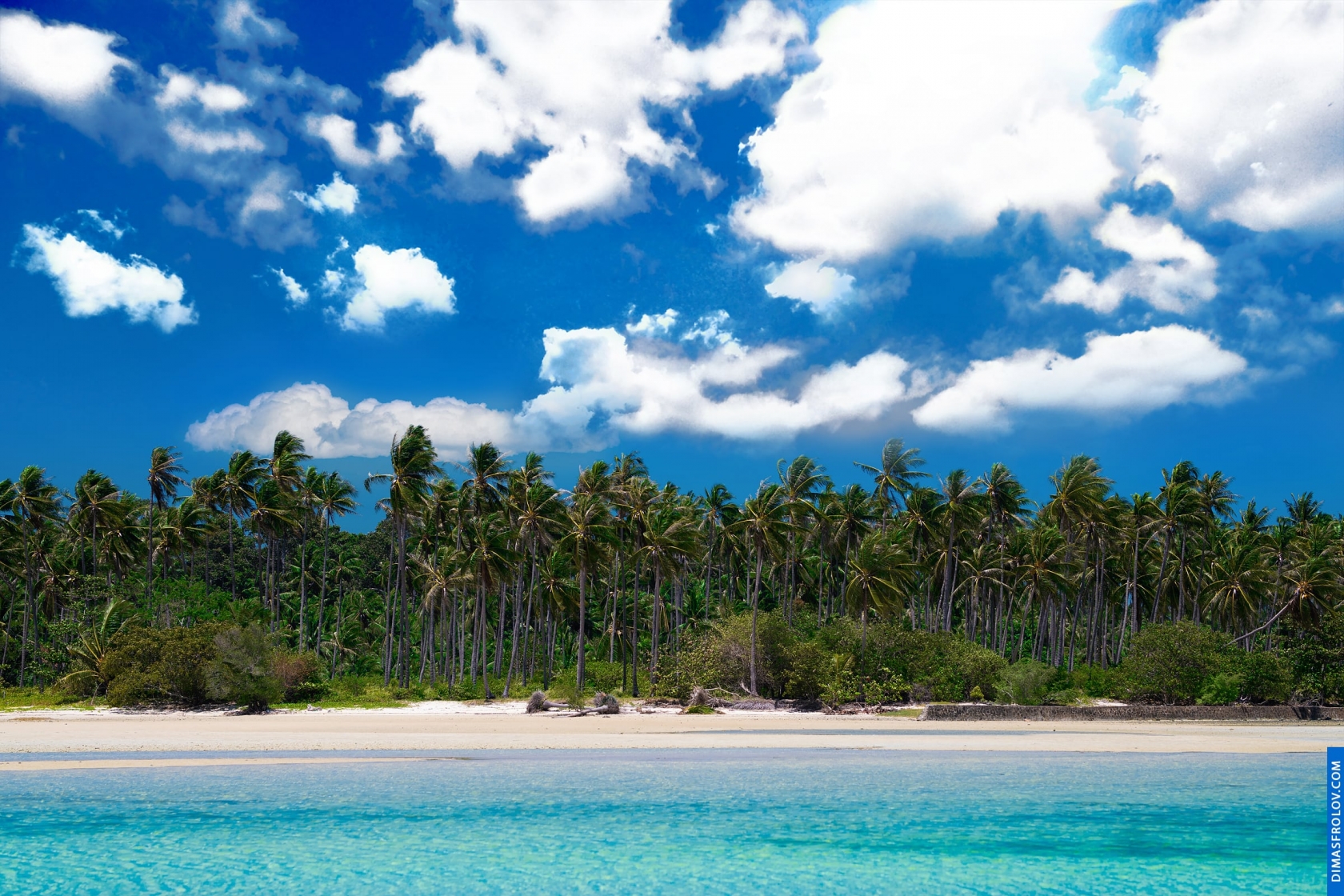 Tropical beach with white sand, turquoise water, and a line of palm trees under a bright blue sky with scattered clouds